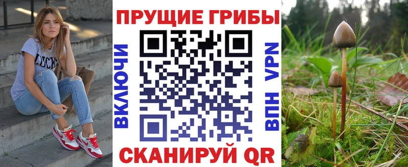 Псилоцибиновые грибы мухоморы  купить наркотик  Канск 